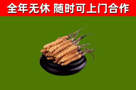 安远县烟酒回收冬虫夏草.jpg