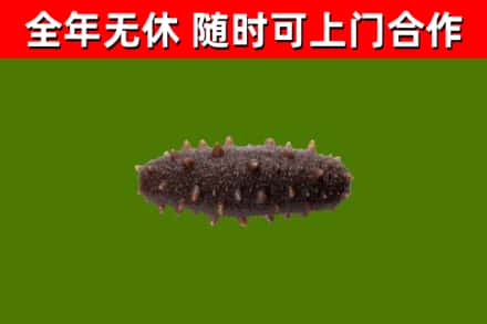 安远县回收海参干